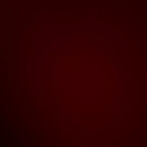 2xist Men's Accessory in Deep Red